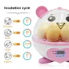 Accessori adorabili trasparenti 9 uova incubazione semiautomatica brooder cartoni animati manuale della macchina incubatrice