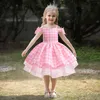 Lovely Pink Straps Girl's Pageant Dresses Flower Girl Dresses Girl's Birthday/Party Dresses Girls Everyday Skirts Kids' Wear SZ 2-10 D326205