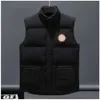 Abiti Gilet imbottito Gilet da uomo Cappotti Giacca di design Parka Manica lunga Cerniera Distintivi Uomo Downs Casual Cappotto ispessito da esterno Gilet di alta qualità