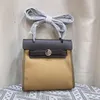 MINI Totes Designer bag Borsa da donna in pelle di alta qualità tela che unisce la tote bag borsa moda Borsa a forma di casa borse tote di lusso