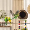 Bon hängande kokosnötfågelhus med stege naturlig kokosnötfiber skalfågel bo för papegoja kärleksfågel kanarie fågelburetillbehör