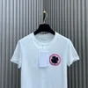 2024 sommer Frauen Designer Oansatz T Shirts Mode Brief Pailletten Kurzarm Embroid T-shirts Lady Tees Luxus Casual Tops T-shirts