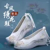 Stage Wear Ancient Chinese Traditional Hanfu Dance Performance Embroidery Canvas Flat Shoes Oriental Women Wedding Old Beijing