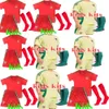 Wales soccer jerseys JAMES BALE 24 25 Welsh quality football shirts JOHNSON N.WILLIAMS RODON T.ROBERTS CABANGO LEVITT MOORE THOMAS kids kit jersey