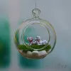 Vasos 8pc diâmetro 6/8/10cm pendurado redondo vidro planta de ar terrários bolha bolas de cristal flor globo vaso para decorações de teto de casamento