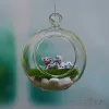 Wazony 8pc Dia 6/8/10 cm Wiszące okrągłe szklane powietrze Zatrzodowlane terrarium Bubble Kryształowe kulki Flower Globe Wazon do dekoracji sufitu ślubnego