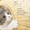 Mats Imitation Vine Basket Indoor Cat House、涼しいペットの巣、子犬のベッド、犬の巣、素敵なモデリング、快適で洗える