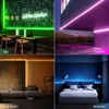 Insegna al neon LED Sensore di movimento PIR fai da te RGB Neon Led Strip Light APP Lampada intelligente dimmerabile WIFI Tuya Smart Life Controllo Bluetooth Ritardo Regola YQ231201