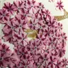 60pcs Preslenmiş kurutulmuş verbena hortensis çiçek mücevher için çiçek açma kartpostal po çerçeve telefon kılıfı zanaat diy aksesuarları 240320