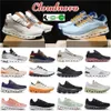 Véritable course à pied chaussures de qualité chaussures Nova femmes forme chaussure concepteur monstre baskets entraînement et Federer Cloudaway poire blanche