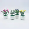 Fiori decorativi Vaso di fiori finti Simulato in vaso Succulente Gypsophila Plastica artificiale Bonsai Multi colore Camera Balcone Decorazione del cortile