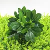 Decorative Flowers Flower Green Potted Decoration Simulation Duck Foot Wood Anthurium Wall Leaves Seven Star Zinnia