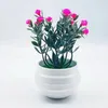 Dekorativa blommor Fake Flower Pot Simulated Potted Succulent Gypsophila Artificial Plastic Bonsai Multi Color Room Balcony Yard Decoration