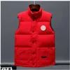 Abiti Gilet imbottito Gilet da uomo Cappotti Giacca di design Parka Manica lunga Cerniera Distintivi Uomo Downs Casual Cappotto ispessito da esterno Gilet di alta qualità