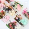 Decorative Flowers Zinnia Eternal Life Dried Flower Material Package Festival Handmade Diy Picture Hanging