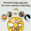 Tillbehör mini fåglar ägg inkubator automatiskt hem broder söt tecknad automatisk inkubator elektrisk för barn kycklingfåglar 6 18 ägg