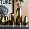 Films Nordic light luxe gouden geometrische onregelmatige vaas Europese en Amerikaanse galvaniserende keramische gedroogde bloemendecorornamenten
