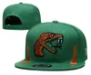 New America College Hurricanes Crimson Gator Carolina Clemson Rattlers Hawkeyes Wildcats Virginia gorras snapback equipos fútbol béisbol baloncesto Snapbacks