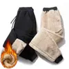 Ensembles pour hommes Survêtement Hommes Agneau Cmere Hiver Laine Sweat À Capuche Épais Chaud Sportswear Costume Mâle 1/2 Pièce Ensemble Casual Ensembles h8vu #