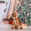 Halsbanden Elegante kleine staart Halsband met strik Kerstmis Gingerbread Man Halsband Boog Jongen Meisje Hond Vlinderdas Huisdier Cadeau Verstelbaar