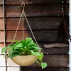 Vaser hängande växtstativ planterare för utomhushylla växter smides järnplantning container stora korgbeläggar hängare