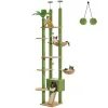 Hauteur de gratteaux 230252 cm Cactus Cat de cactus Plancher au plafond avec congé vert pour une tour à plusieurs niveaux intérieure avec de grands condos de hamacs confortables