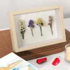 Frame 5 cm dikke diepe doos Fotolijst Foto Memory Case Houten fotolijst Bloemschaduw Specimenlijst Box Fotoweergavedoos