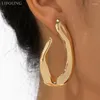 Boucles d'oreilles grand poteau en métal pour femmes bijoux de mode déclaration Punk accessoires de fête à la mode de base styles intemporels cadeaux 2024500