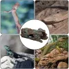 Terrariums Snake Hideout Spider Cave Climbing Turtle rustend Terrace Reptile Cave voor Scorpion Spider Resting Platform Cave