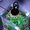 Tanks USB Desktop Fish Tank Set Eenvoudig te installeren Mute voor slaapkamer Kantoor Verjaardagscadeau Kindercadeau