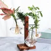 Vasen Terrarium mit Ständer Pflanzer Glühbirne Glasvase Desktop Hydrokultur Halter Moderne Pflanzenvermehrungsstation für