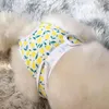 Vêtements pour chiens Sous-vêtements menstruels Pantie réglable Pantalon physiologique avec confort anti-fuite pour animal de compagnie menstruel femelle