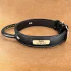 Sets Leder-Hundehalsband, personalisiertes ID-Tag-Halsband für mittelgroße und große Hunde, Haustier-Walking-Training, Schnellkontroll-Halskette mit Griff