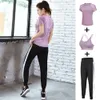 Flash Shipment Internet Celebrity Sports Set for Women's 2019 Running Gym Yoga Suit, Summer Thin Quick Drying Clothes