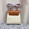 MINI Totes Bolso de diseñador Bolso para mujer Lona de cuero de alta calidad que empalma el bolso de mano Bolso de moda Bolso con forma de casa Bolsos de mano de lujo