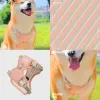 Trelas rosa pêssego série smalllarge arnês para cães pet trela acessórios para cães poodle bichon corgi leva filhote de cachorro arnês suprimentos para animais de estimação