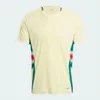 2024 2025 Wales voetbalshirts JAMES BALE 24 25 Welsh voetbalshirts JOHNSON N.WILLIAMS RODON T.ROBERTS CABANGO LEVITT MOORE THOMAS Heren kindertenue