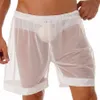 men's Lingerie Mesh Sheer Loose Fit Boxer Shorts Lounge Male Transparents Underwear Swim Trunks Summer Beachwear 98Ek#