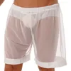 men's Lingerie Mesh Sheer Loose Fit Boxer Shorts Lounge Male Transparents Underwear Swim Trunks Summer Beachwear 98Ek#