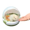 Cages pour garder l'extérieur au chaud, Mini Cage Portable pour Hamster, petit transporteur d'hiver pour animaux de compagnie, Rat, maison, Animal pour cochon, rongeur, voyage