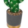 Kwiaty dekoracyjne sztuczne ozdoby kaktusa doniczkowego realistyczna symulacja soczysta roślina do dekoracji stolika