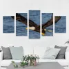 5 Panel Bald Eagle Flying Canvas Painting Wall Pictures Animal Posters and Prints for Living Room Office Decoration Cuadros