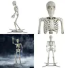 Arts et artisanat Halloween Nt Poseable Squelette Décoration Os Couleur 10 Pieds En Voie Pour Célébrer Livraison Directe Maison Jardin Cadeaux Ot5Xe