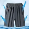 Men's Shorts Casual Everyday Summer Beach For Men Quick-drying Elastic Waistband With Zipper