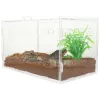 Terrariums Transparent Terrarium Araignée Enclos Acrylique Clair Reptile Réservoir Grenouille Reptiles Tortue Cage Parc En Plastique