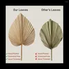 Decorative Plates 4 Pieces Natural Dried Palm Leaves Are Perfect For Leaf Decor Boho Home Wedding