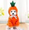 Beinwfyiy varm hund vinterkläder söta frukt hundrock hoodies fleece husdjur hund dräkt jacka för fransk bulldog chihuahua