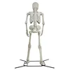 Arts et artisanat Halloween Nt Poseable Squelette Décoration Os Couleur 10 Pieds En Voie Pour Célébrer Livraison Directe Maison Jardin Cadeaux Ot5Xe