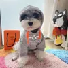 Designer-Hundekleidung, winterwarme Hunde-Kapuzenpullover, Sweatshirts mit klassischem Buchstabenmuster, weiche Baumwoll-Hundebekleidung für kleine, mittelgroße Hunde, Kätzchen, Premium-Welpen-Katzen-Outfit Y15