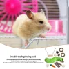 Tunnels Hamster Chew Toy Set Natural Wooden Hamster Toys And Accessories For Cage Guinea Pig 11Pcs Chew Toy Teeth Small Animal Toy